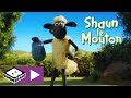 Matin  la ferme  shaun le mouton  boomerang