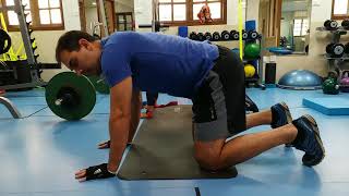 Four Point Pelvic Tilts