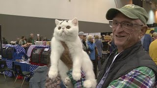 CFA International Cat Show taking place in Cleveland this weekend