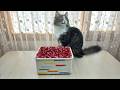 DIY Rope Storage Basket | Cute & Colorful Home Organizer