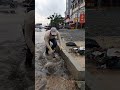 Remove  Plastic to Unclogged Culvert Drain #shorts #uncloggingdrains