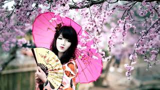 Download lagu Contemporary Japanese Music | Geisha | Japanese Flute (Shakuhachi) & Shamisen