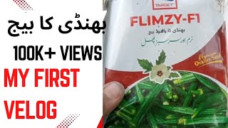 Hibrad bhindi seed 120mons Akar everage new seed 2026 flimzy f1