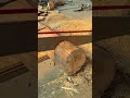Mesin super canggih untuk memotong kayu dengan mudah #shorts