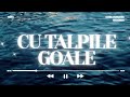MIRA - Cu Talpile Goale | Speed Up