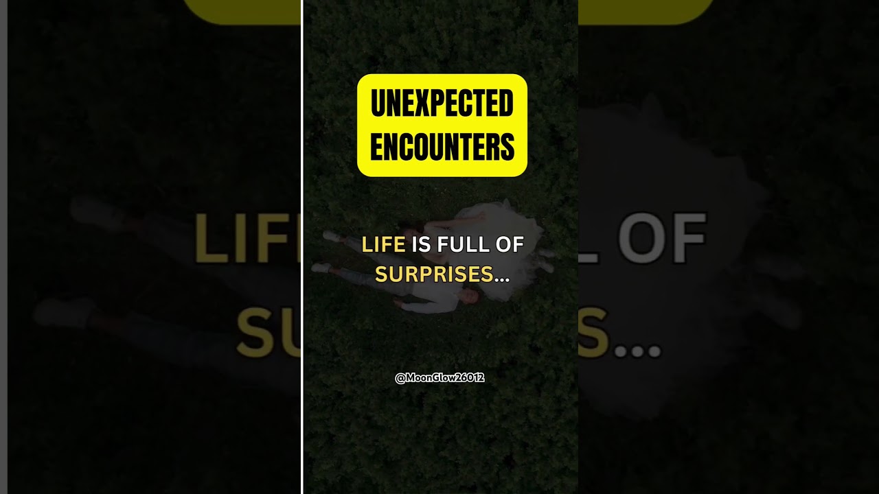 TODAY'S PHRASE - UNEXPETED ENCOUNTERS 