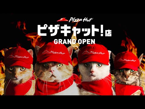 【特報】ピザキャット！店 GRAND OPEN | &quot;Grand Opening! -Pizza Cat! Store-&quot;