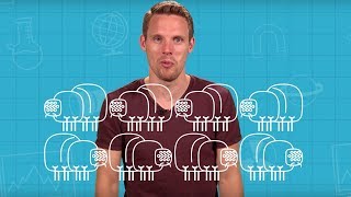 Is Eating Insects Good For You? | Brit Lab Is Eating Insects Good For You? | Brit Lab