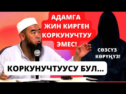 Video: Толук эмес, бирок өтө коркунучтуу: 