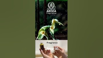Thumbnail of @Arozia-fragrance #love #viral #music #whiteoud #perfume #trending #fragrance