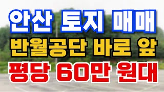 안산 토지 매매 60만 원대!! 반월공단 바로 앞!! 010-3391-6663