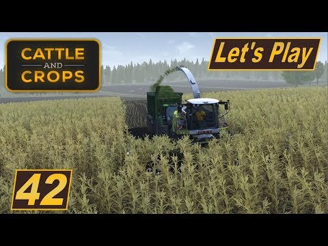cattle and crops roadmap Cattle and Crops #42 Never change a running system #Landwirtschaft Simulator #deutsch #Lets Play
