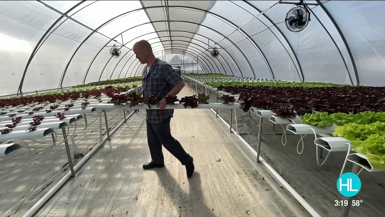 Verdegreens brings the future of farming to Acres Homes | HOUSTON LIFE | KPRC 2