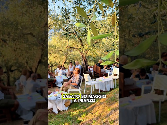 🔥☀️ NOVITÀ 2026: Sabato 30 Maggio a PRANZO nell’OLIVETO con degustazione CANTINE LUNAE 🌳 #liguria