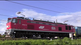 ﾚｯﾄﾞｻﾝﾀﾞ-EF510-8牽引高速貨物【4K】4059ﾚ信越本線下り