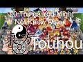 20 Things You May Not Know about Touhou