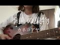 季節の果物 / カネコアヤノ