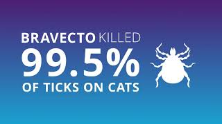 Introducing Bravecto® Spot-On for cats – tick and flea treatment with a twist. screenshot 1