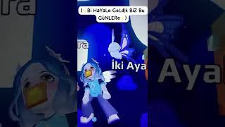 WhatsApp Video 2026 05 23 at 18 55 11
