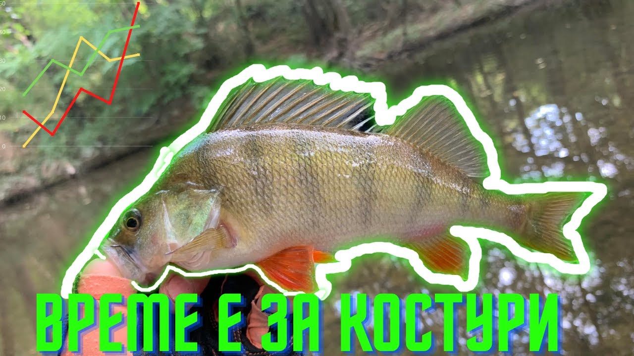 Време е за костурски излети!!! В търсене на речните бандити ..