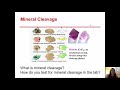Unlocking the Secrets of Minerals and Their Properties