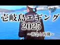 【エギング】壱岐島エギング解禁！２０２５
