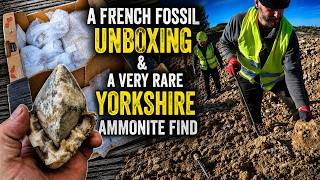 A French Fossil #unboxing & a very rare Yorkshire ammonite prepared! A French Fossil #unboxing & a very rare Yorkshire ammonite prepared!