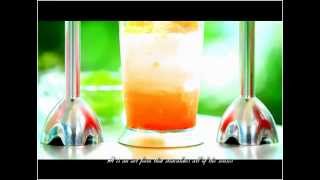 TVC NINJA HAND BLENDER
