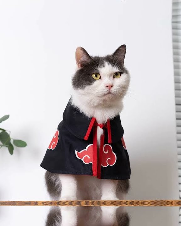 KALO NGANA RINDU COBA DENGAN INI LAGU X INDIA MASHUP UCIL KOMANG🤙(BACKSOUD /MUSIK ADA DI DESCRIPSI)