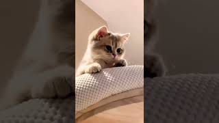 Haydaa 😀😀 Resimi