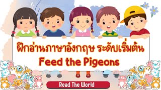 ฝึกอ่านและแปลภาษาอังกฤษ เรื่อง Feed the Pigeons