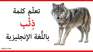 ذئب باللغة الإنجليزية l أسماء الحيوانات بالإنجليزية