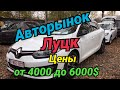 Луцк авторынок 2020 цены от 4000 до 7000$