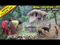 Very Beautiful Life in Nepali Mountain Village | Poor but Very Happy Nepali Village Lifestyle