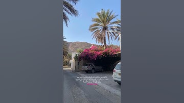 جمعة مباركة قرآن كريم استغفر الله و اتوب إليه 🤍📿🕊️ #quran #قرآن
