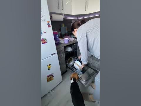 Для кого вы живете? 🤔 #уборка #беспорядок #порядок #clean - YouTube