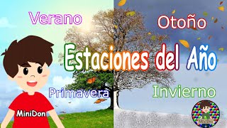 Las estaciones del año para niños! Video Educativo! Primavera, verano, otoño e invierno ¿qué son?