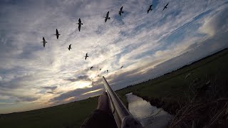 Download Lagu Jagen - Zonder geluk vaart niemand wel. MP3