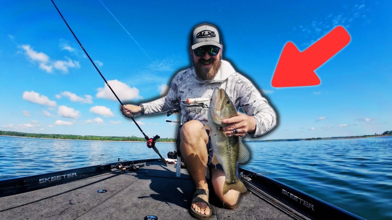 Small Topwaters are PERFECT for BIG BASS
