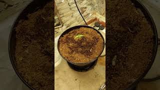 DIY indoor grow cupboard/ boiler room