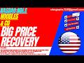 NOODLES STOCK : BIG PRICE RECOVERY | NDLS STOCK