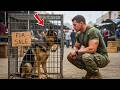 Niemand wollte den alten Hund — bis ein Navy SEAL ihn sah