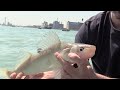 Detroit river walleye fishing 101 jigging tips with big john