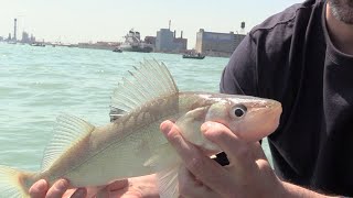 Detroit River Walleye Fishing 101 (Jigging Tips with BIG JOHN)
