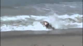 drunk guy attempts to surf big wave and dies