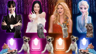 Funny Cats Memes | Wednesday Bloody Mary | Jisoo Flower | Shakira Waka Waka | Elsa Enemy | Cat Songs