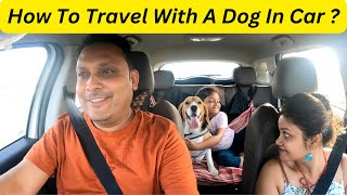 How To Travel On a Long Drive With Your Dog | How To Travel With Your Dog in a Car