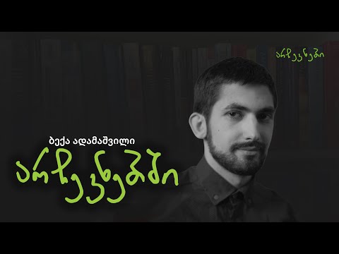 ბექა ადამაშვილი არჩევნებში - ეპიზოდი N21