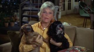 Doris Day - Public Service Announcement - Animal Shelters