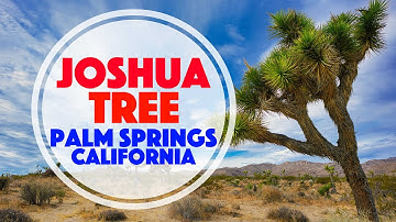 Welcome to Joshua Tree National Park, San Jacinto Mountain, and Palm Springs